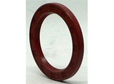 Сальник рульової системи 50.9*38*5 F 00892